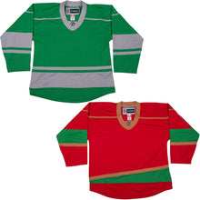 Load image into Gallery viewer, Minnesota Wild Hockey Jersey - TronX DJ300 Replica Gamewear
