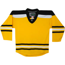 Load image into Gallery viewer, Boston Bruins Hockey Jersey - TronX DJ300 Replica Gamewear
