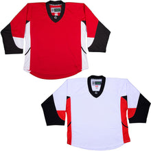 Load image into Gallery viewer, Ottawa Senators Hockey Jersey - TronX DJ300 Replica Gamewear
