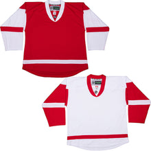 Load image into Gallery viewer, Detroit Red Wings Hockey Jersey - TronX DJ300 Replica Gamewear
